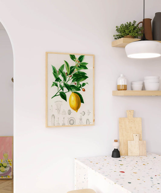 Lemon Print | Vintage Wall Art | Botanical Fruit Illustration