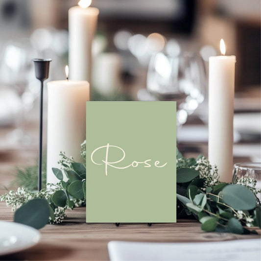 Willow Pack of Table Names Wedding Party Signs | A5