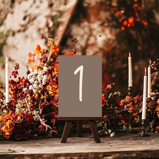 Earth Pack of Table Number Wedding Party Signs | A5