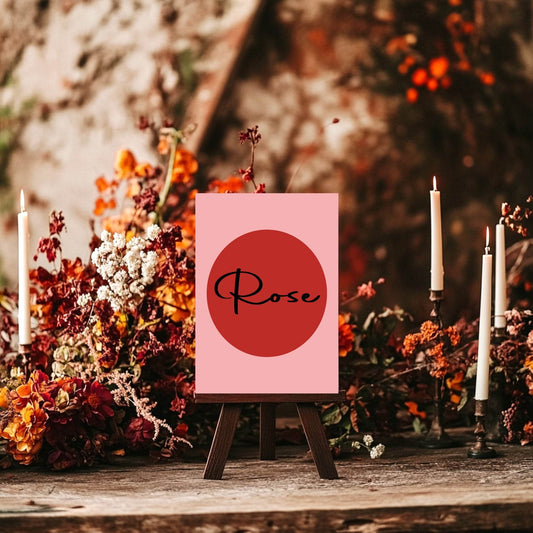 Red & Pink Pack of Table Names Wedding Party Signs