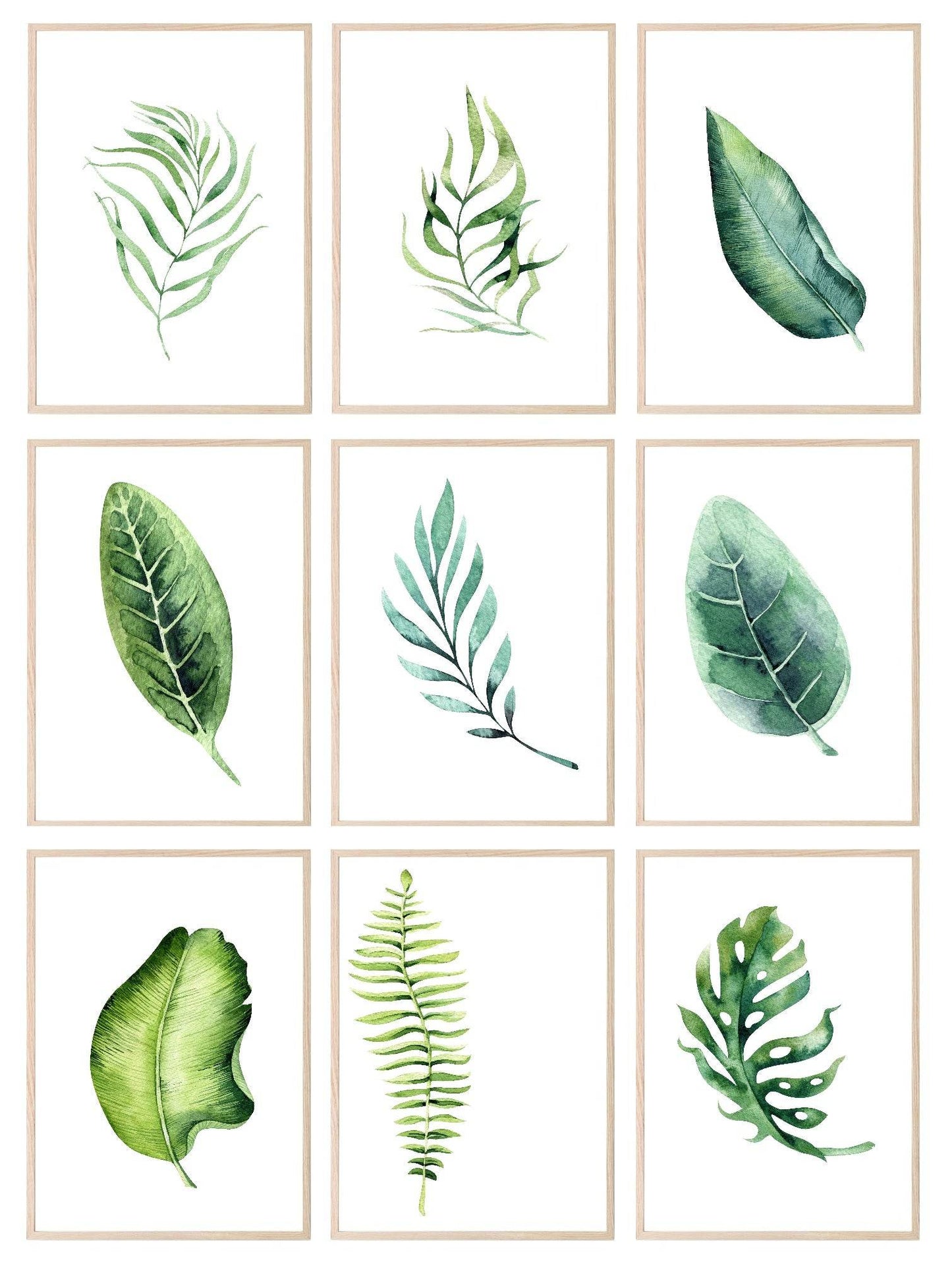 Botanical Leaf Print | Collection Of Watercolour Leaves Wall Art