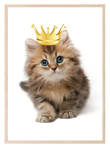 Kitten With Gold Crown Print | Animal Wall Art - Larosier Prints