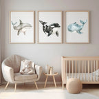 Shark Print | Watercolour | Nursery Wall Art - Larosier Prints