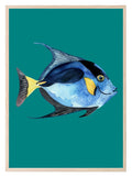 Dory Print | Blue Tang Fish | Watercolour | Nursery Wall Art - Larosier Prints
