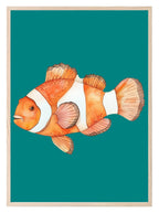 Nemo Print | Clownfish | Watercolour | Nursery Wall Art - Larosier Prints