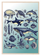 Vintage Sea Animals Print | Kids Wall Art - Larosier Prints