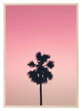 Palm Tree Print | Pink | Colourful Wall Art - Larosier Prints