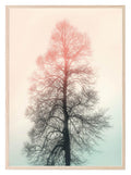Tree Print | Pink & Green | Colourful Wall Art - Larosier Prints