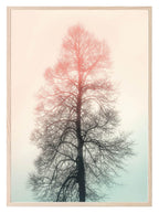 Tree Print | Pink & Green | Colourful Wall Art - Larosier Prints
