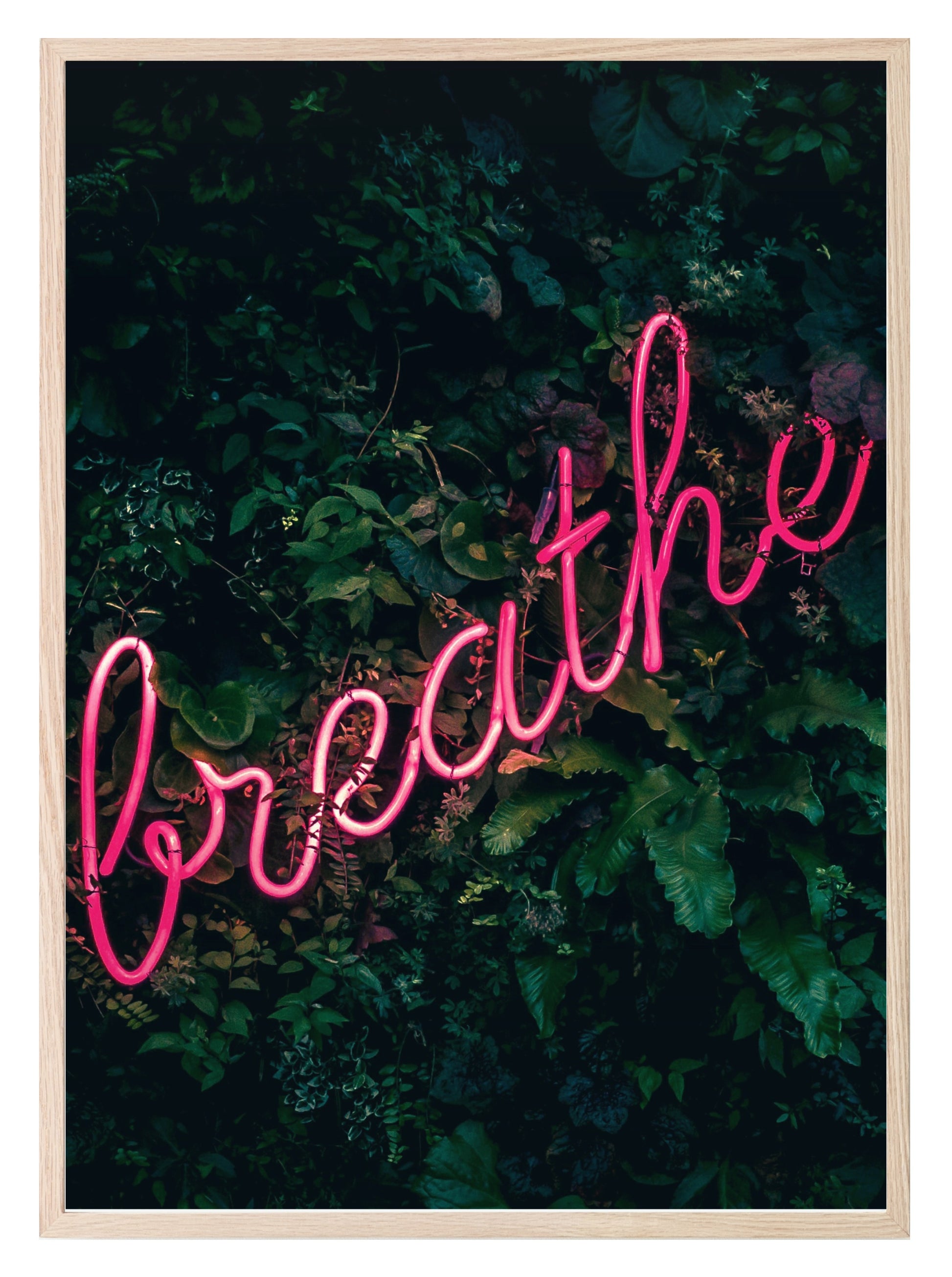 Breathe Print | Pink LED Light | Botanical Wall Art