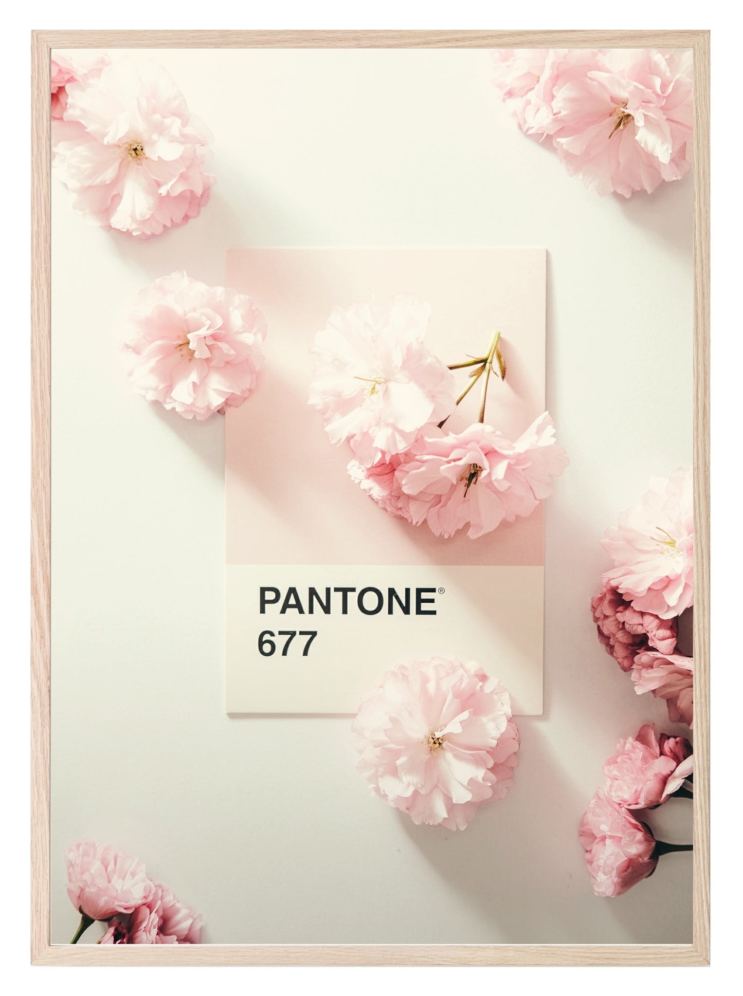 Pantone 677 Print | Pink Flowers | Floral Wall Art