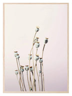 Wild Flowers Print | Lilac | Colourful Wall Art - Larosier Prints