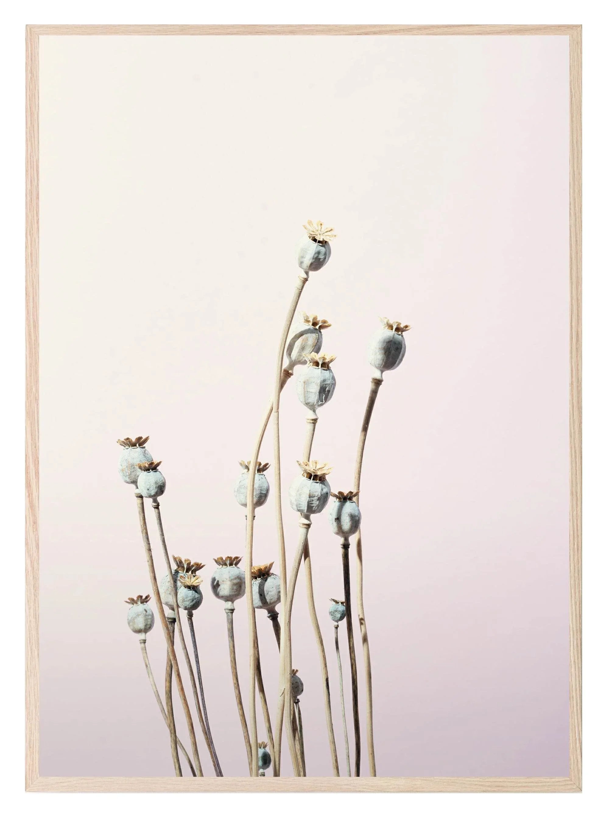 Wild Flowers Print | Lilac | Colourful Wall Art - Larosier Prints