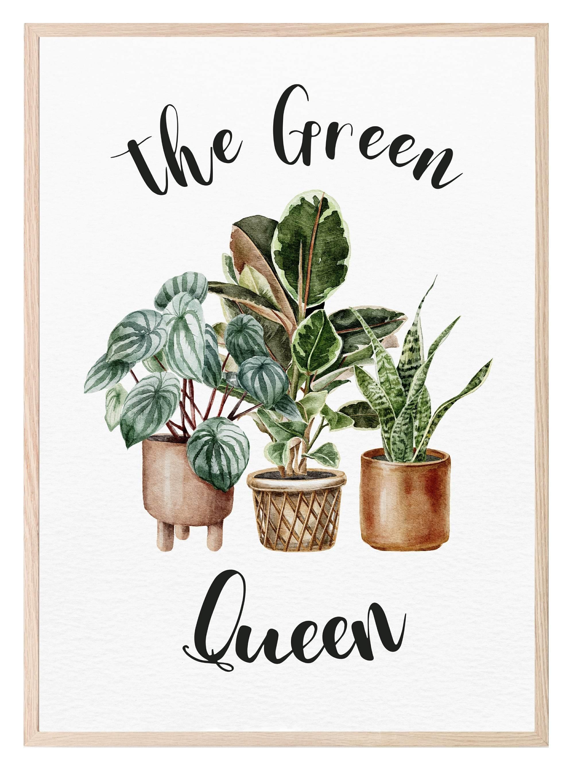 The Green Queen Print | Botanical Wall Art - Larosier Prints