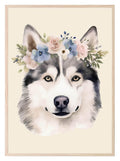 Floral Crown Husky Dog Print | Pet Lovers Wall Art - Larosier Prints