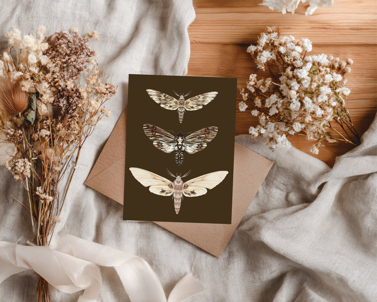 Dark Romance Vintage Moth Save the Date Cards | Pack of 10 | 14. Save the date 4