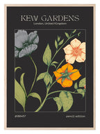 Kew Gardens Flower Market Print | Modern Wall Art - Larosier Prints