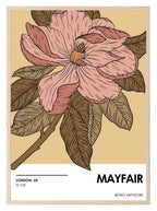 Mayfair London Print | Floral Wall Art - Larosier Prints