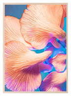 Mushroom Print | Kitchen Wall Art - Larosier Prints
