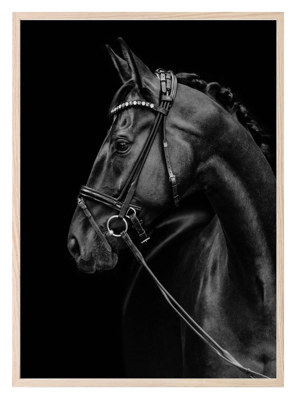 Horse Print | Black beauty Wall Art - Larosier Prints
