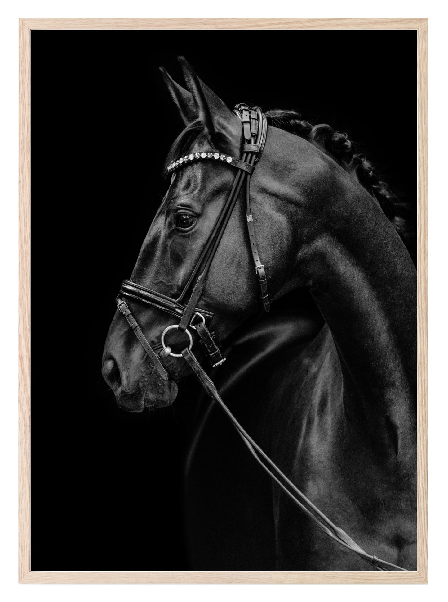 Horse Print | Black beauty Wall Art