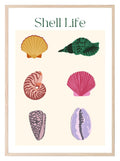 Shell Life Print | Holiday Wall Art - Larosier Prints