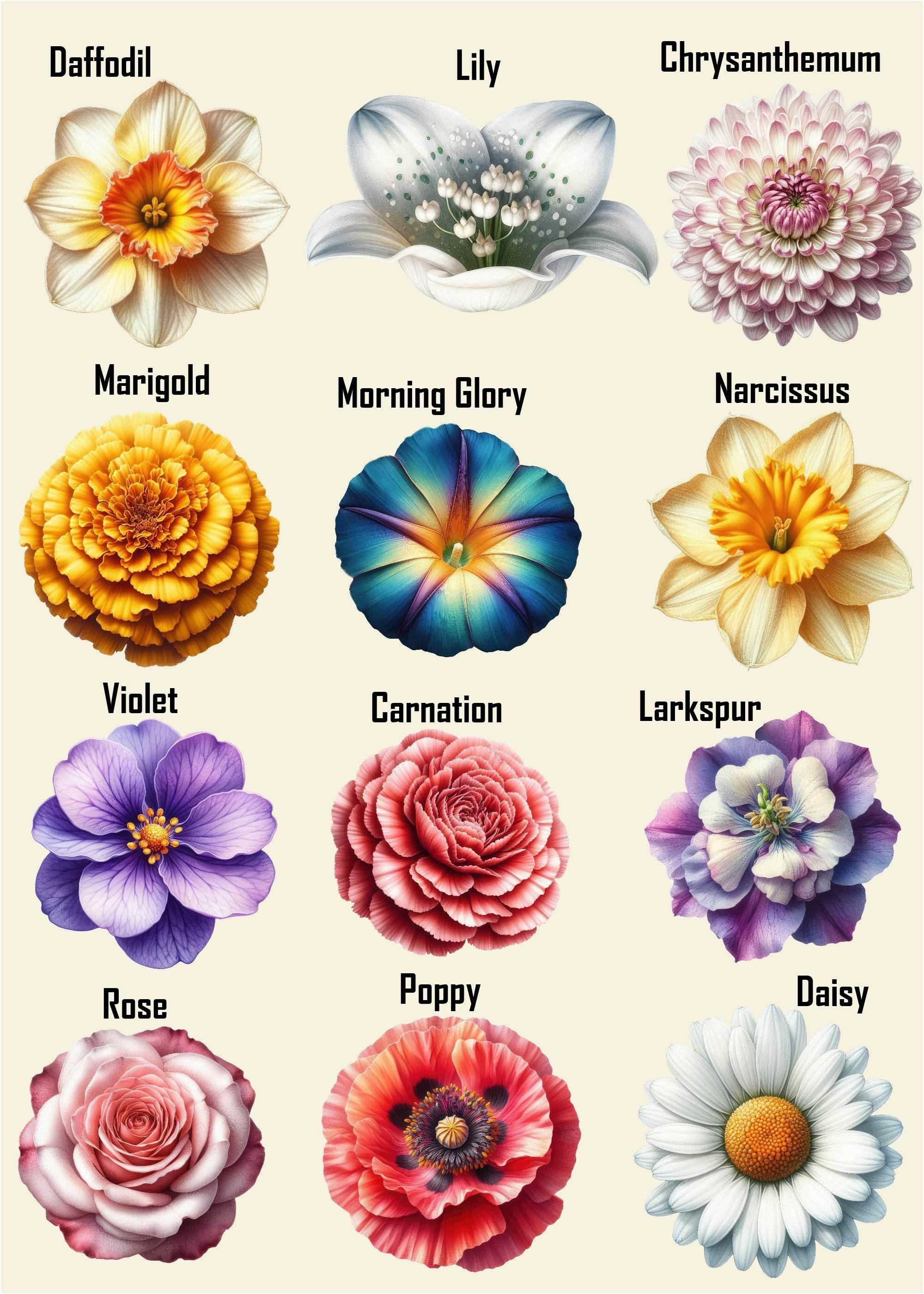 Personalised Flowers Print | Family Wall Art - Larosier Prints
