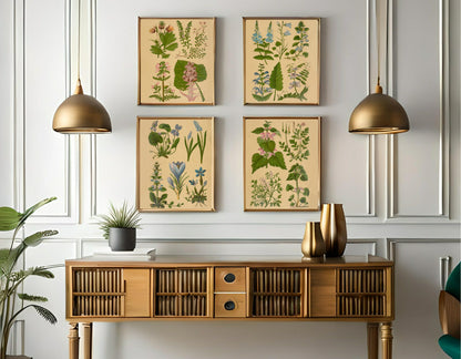 Vintage Spring Prints | Floral | Spring Collection Wall Art