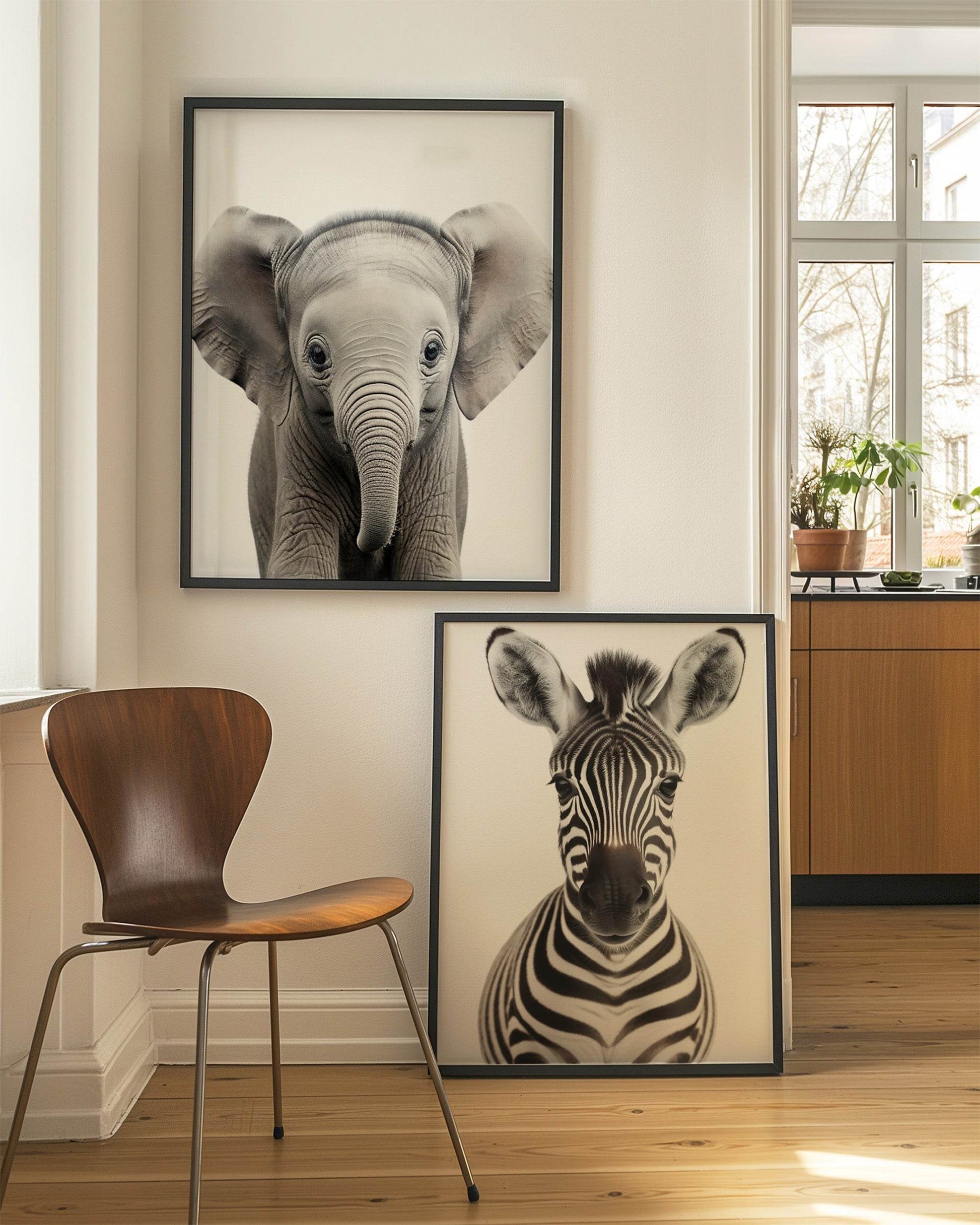 Zebra Wall Art Print
