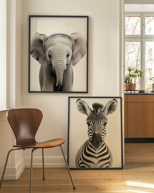 Zebra Wall Art Print