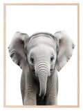 Elephant Wall Art Print - Larosier Prints