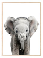 Elephant Wall Art Print - Larosier Prints