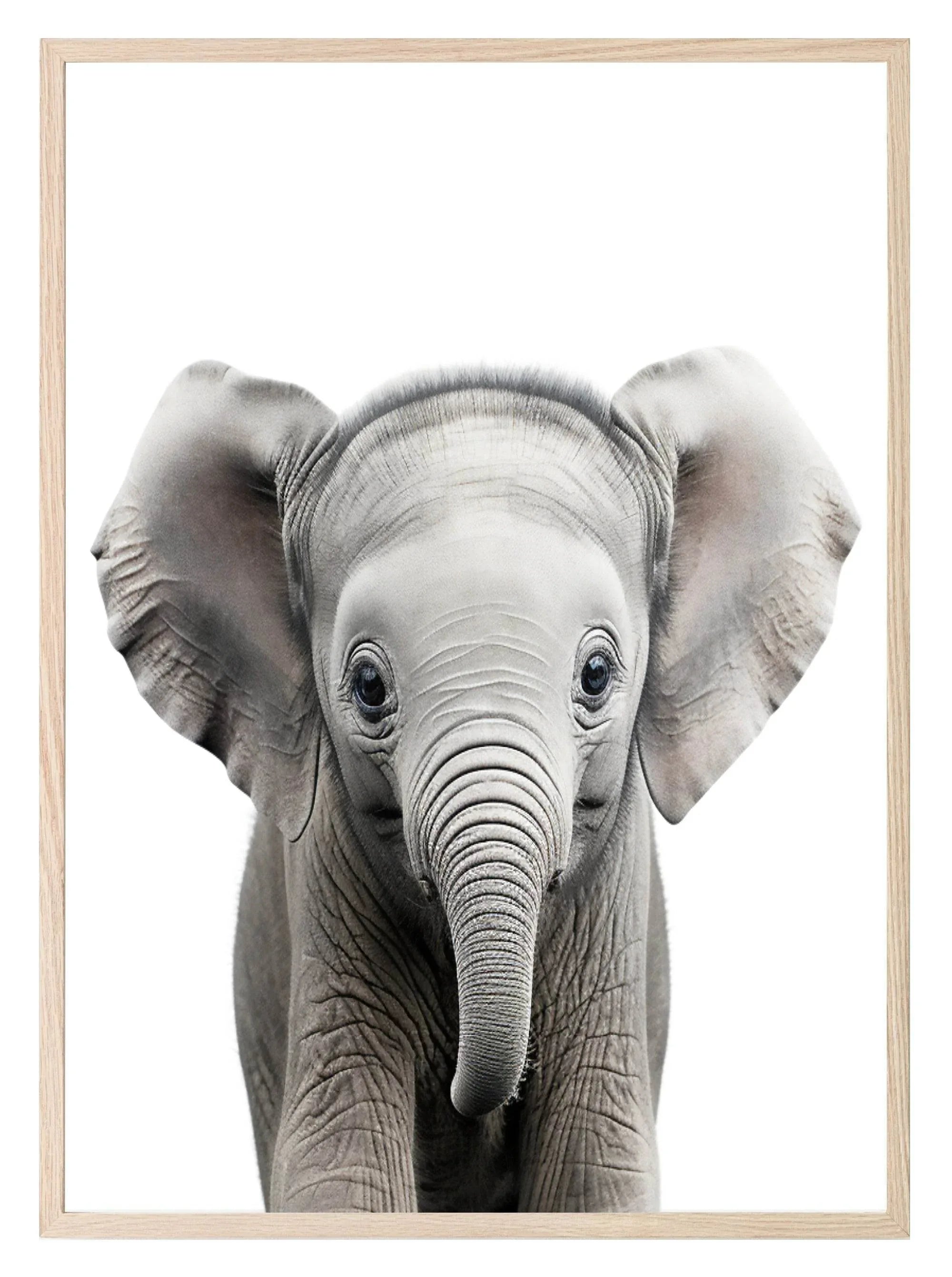 Elephant Wall Art Print - Larosier Prints
