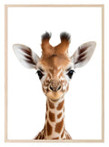 Giraffe Wall Art Print - Larosier Prints