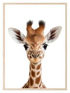 Giraffe Wall Art Print - Larosier Prints