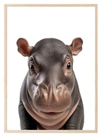 Hippo Wall Art Print - Larosier Prints