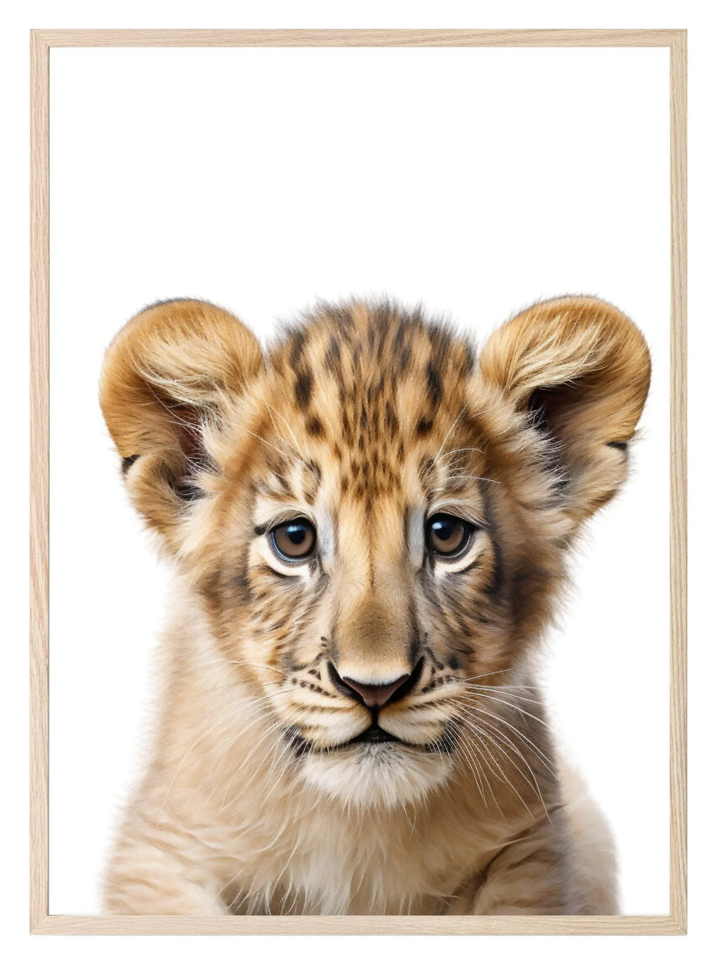 Lion Cub Wall Art Print - Larosier Prints