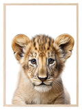 Lion Cub Wall Art Print - Larosier Prints