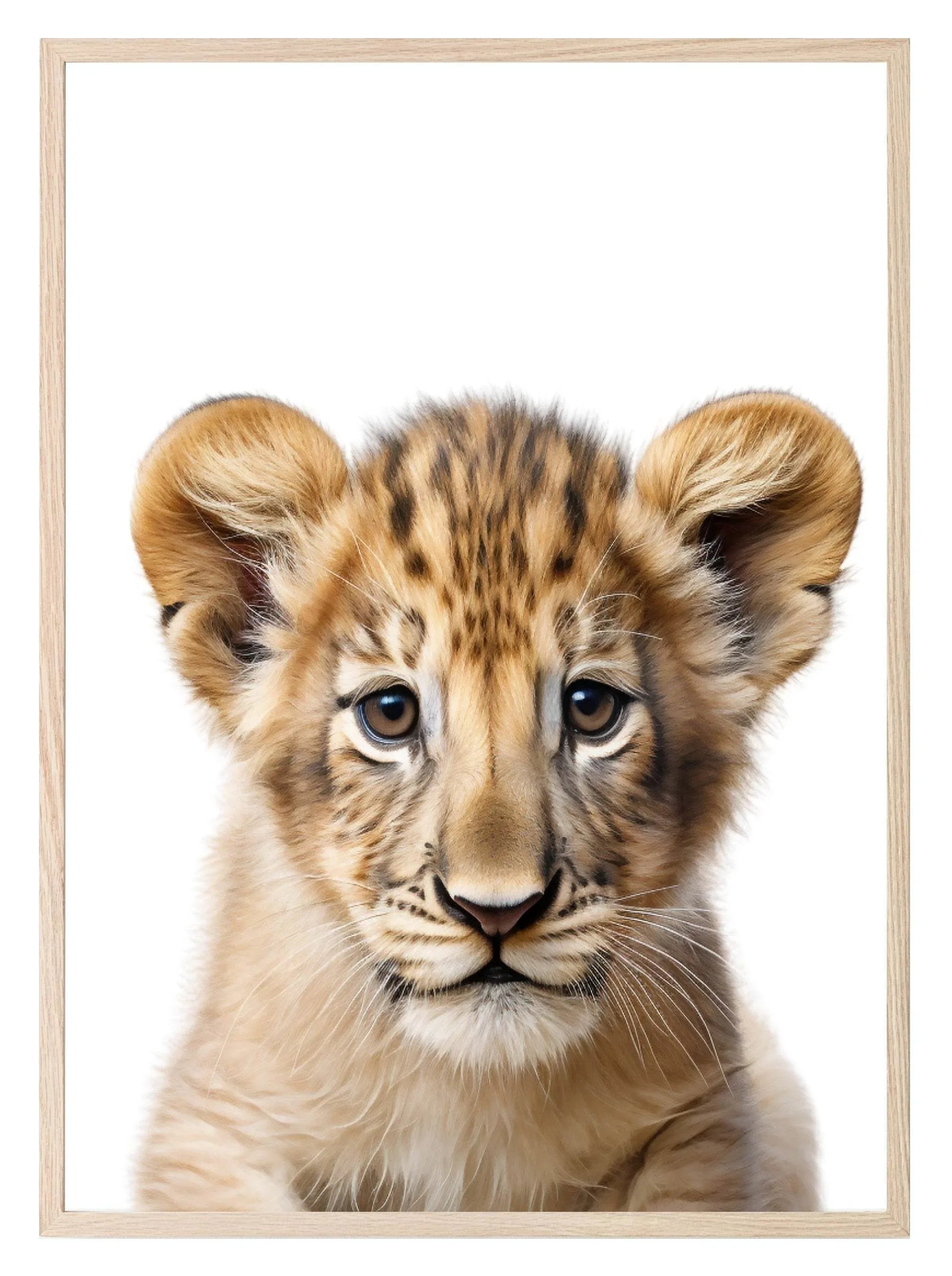 Lion Cub Wall Art Print - Larosier Prints
