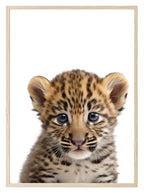 Tiger Cub Wall Art Print - Larosier Prints