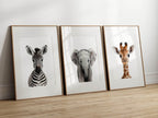Zebra Wall Art Print - Larosier Prints