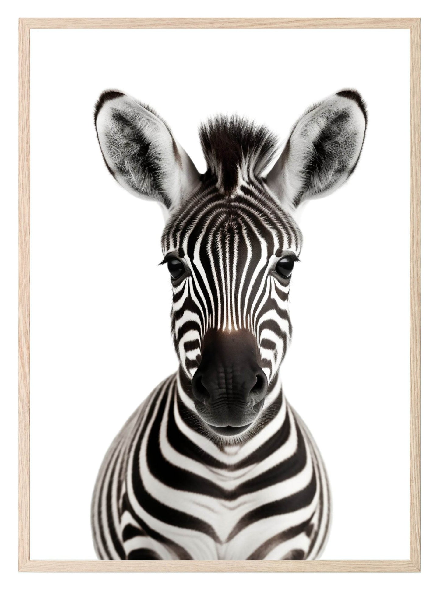 Zebra Wall Art Print
