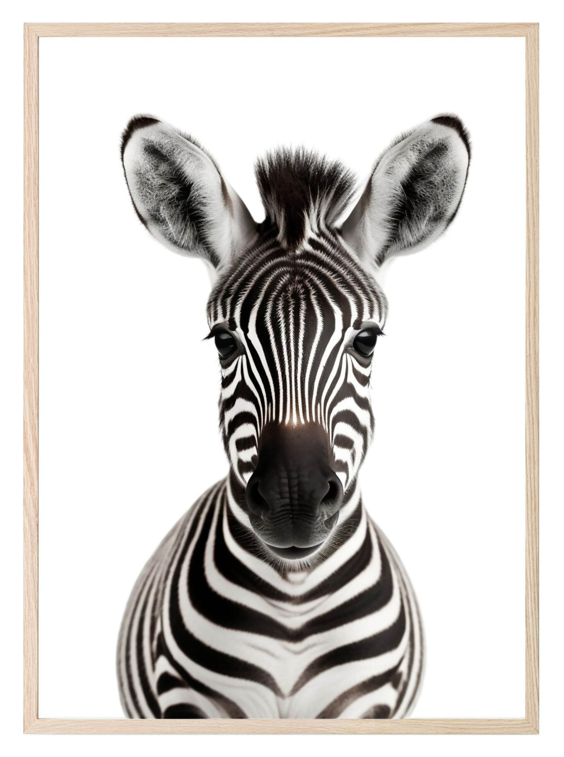Zebra Wall Art Print