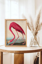 American Flamingo Print – Inspired by Audubon | Vintage Bird Wall Art - Larosier Prints