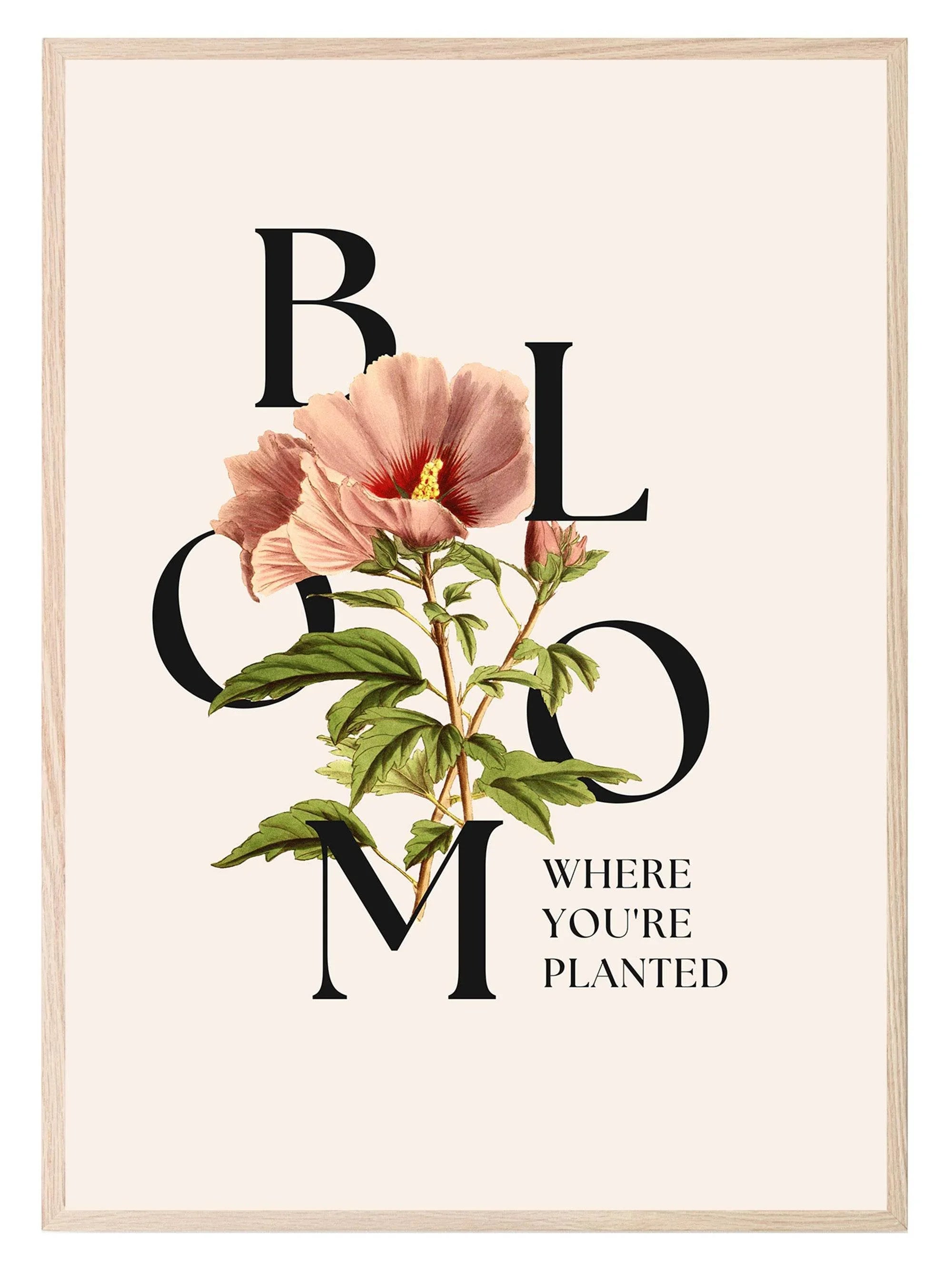 Bloom Where You're Planted Floral Print | Botanical Wall Art - Larosier Prints