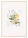 Vintage Flower Print | Floral Wall Art - Larosier Prints
