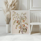 Apple Tree Print | Food & Drink Wall Art - Larosier Prints