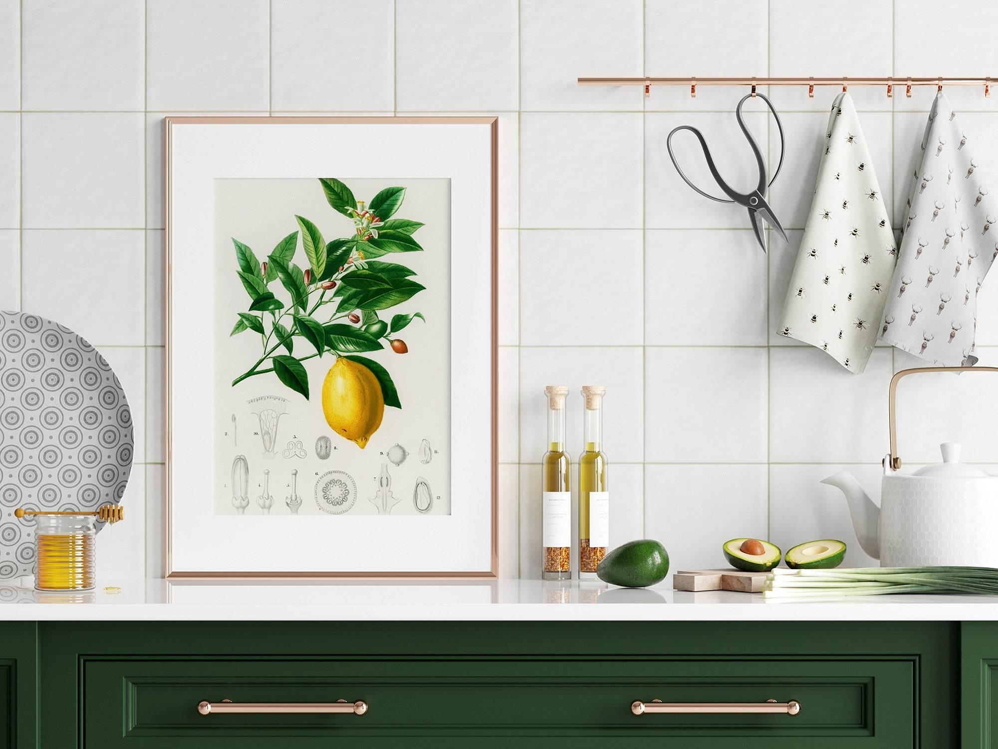 Lemon Print | Vintage Wall Art | Botanical Fruit Illustration - Larosier Prints