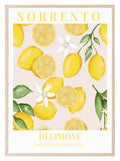 Sorrento Di Limone Print | Sorrentine Peninsula Citrus Art | Mediterranean Style - Larosier Prints
