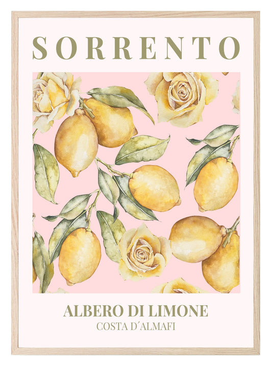 Sorrento Alberto Di Limone Print | Amalfi Coast Citrus Art | Pink
